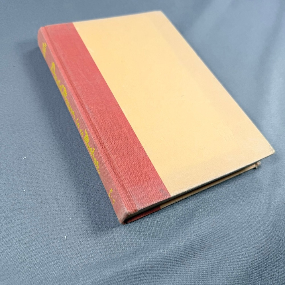 Gail Parent David Meyer is a Mother Hardcover 1976 First Edition Fiction Novel